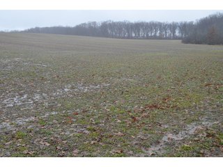Property photo 34 - FARM AUCTION - 60.5+/- ACRES IN 5 TRACTS IN ALLEN COUNTY, INDIANA